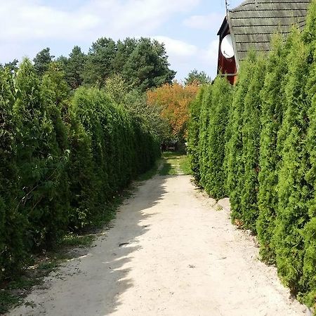 Wyspa Kampinos Brochów Extérieur photo